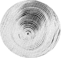 Astdübel (Naturäste)