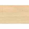 Holzart Buche